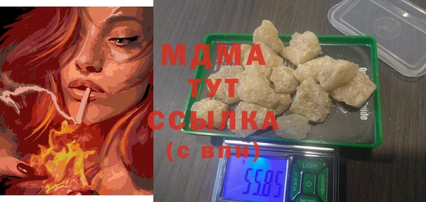 прущие грибы Тавда