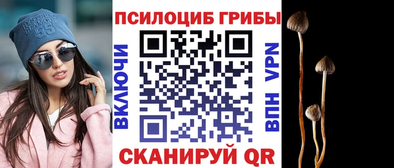 Купить где  Дагестанские Огни  Псилоцибиновые грибы ЛСД 